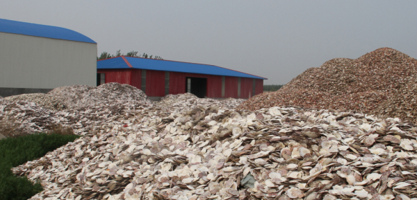 乾港集團 乾港集團